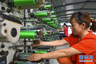 河北景縣 研發(fā)環(huán)保應用橡塑產品 助力企業(yè)轉型升級